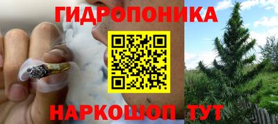 прущие крисы Азнакаево