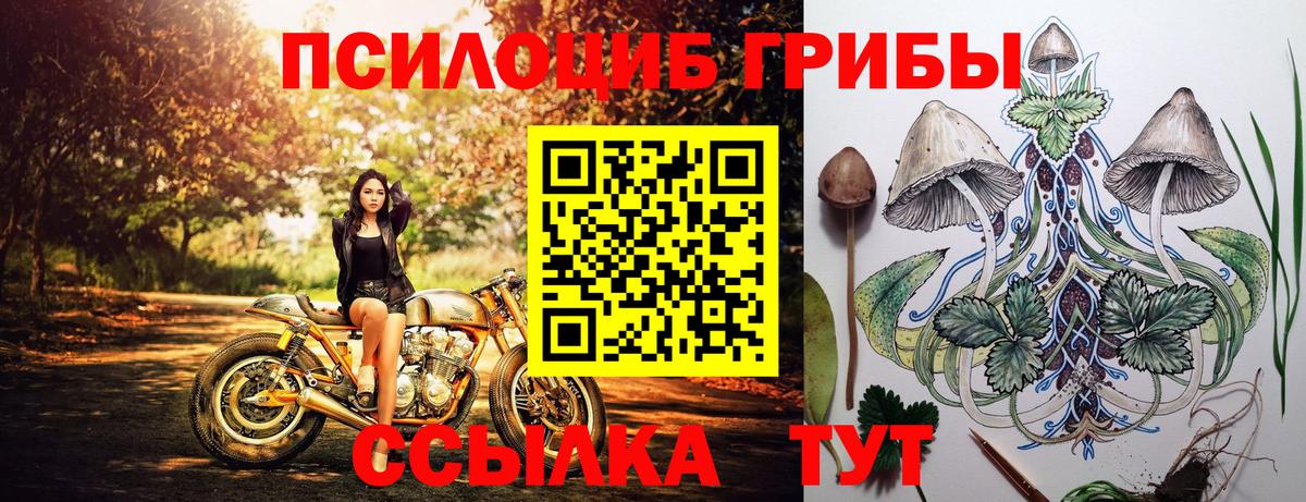 Алексин  Галлюциногенные грибы ЛСД  Вход с VPN 