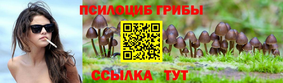 Псилоцибиновые грибы ЛСД Алексин